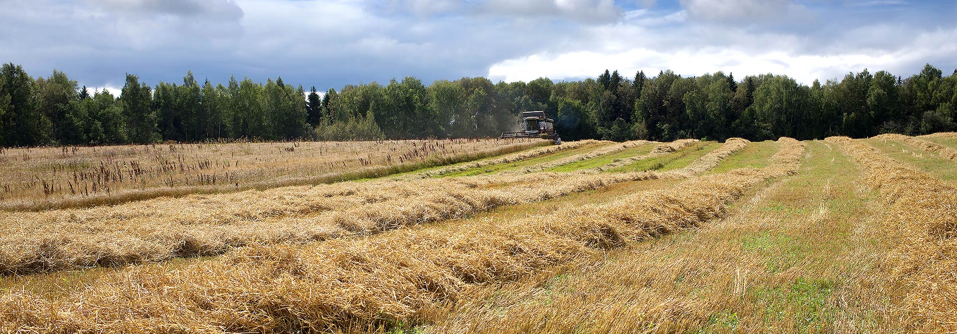 disostruzioni disintasamenti bergamo