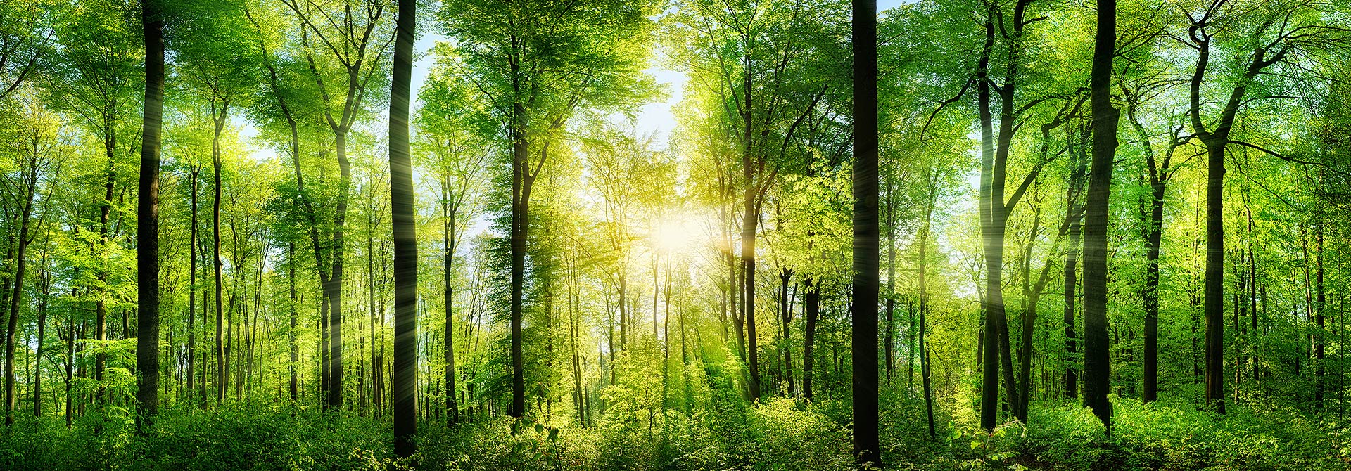 smaltimento rifiuti bergamo